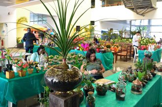 Semana do Meio Ambiente do TJBA encerra com debate sobre alimentos orgânicos, exposições e experiências virtuais  
