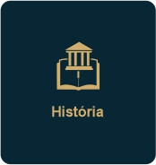 JUIZADOS ESPECIAIS - 25 ANOS  