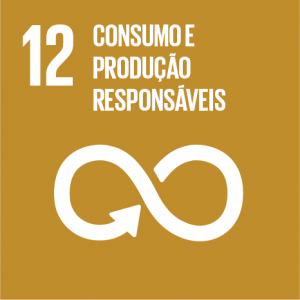 Ações do Núcleo Socioambiental do PJBA e a Agenda 2030  