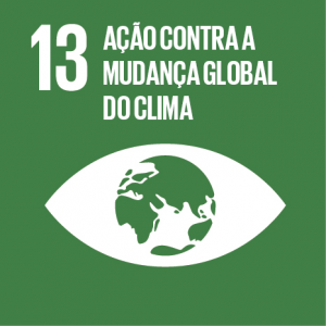 Ações do Núcleo Socioambiental do PJBA e a Agenda 2030  