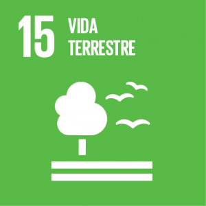 Ações do Núcleo Socioambiental do PJBA e a Agenda 2030  