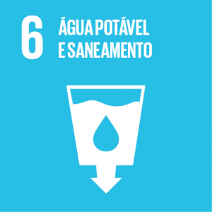Ações do Núcleo Socioambiental do PJBA e a Agenda 2030  