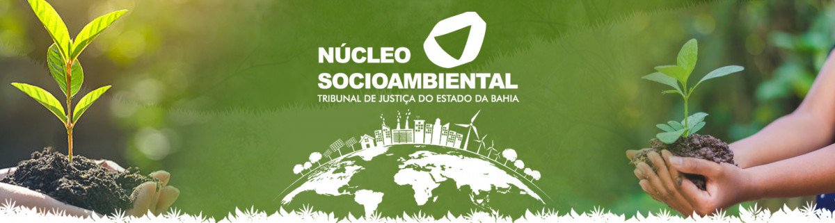 Ações do Núcleo Socioambiental do PJBA e a Agenda 2030  