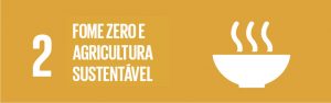 Linha do Tempo ODS  