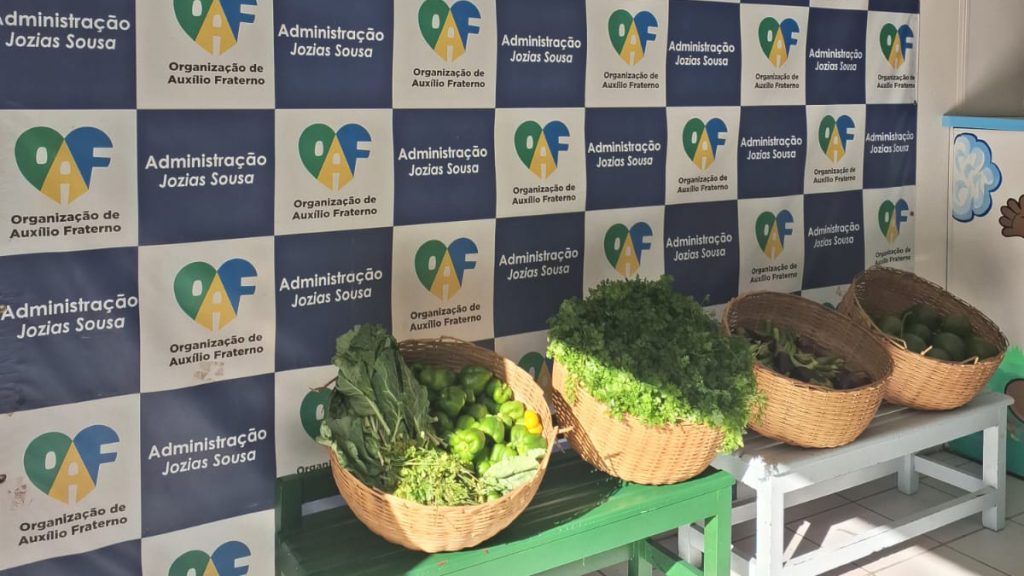 TJBA inaugura horta solidária na Casa Pia; primeira fora das instalações da Corte   