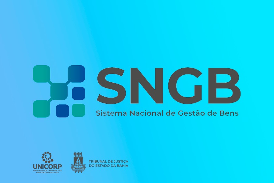 Curso ensina a gerir bens apreendidos com restrição judicial  