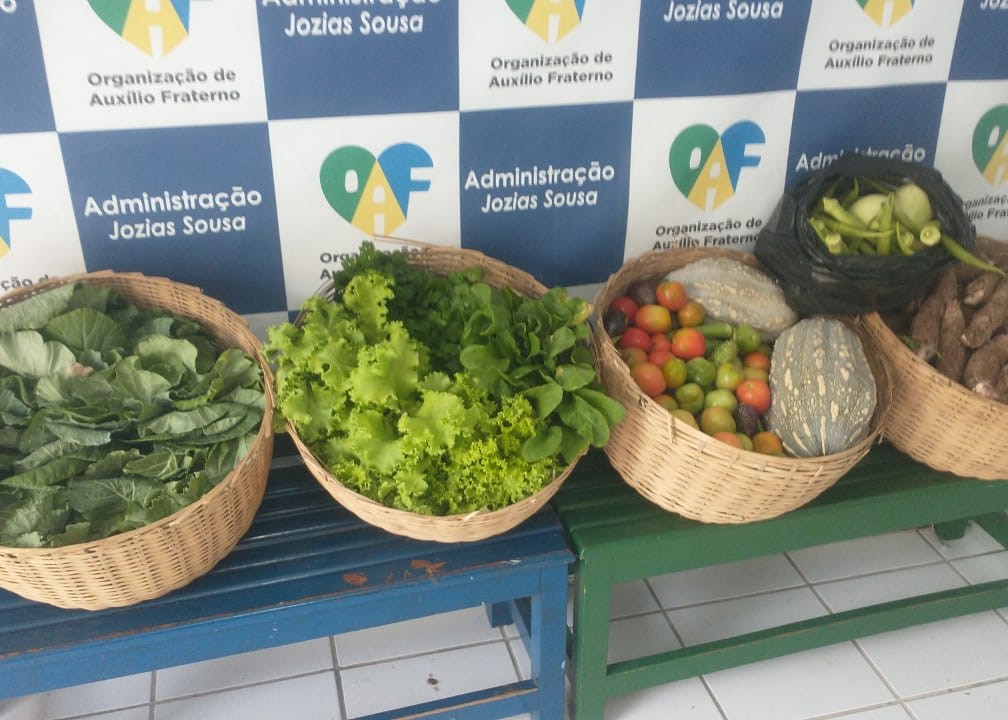 TJBA realiza 53ª entrega de produtos da horta à Organização do Auxílio Fraterno, em Salvador    