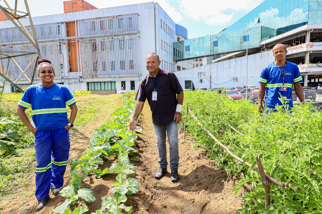 Núcleo Socioambiental inaugura horta solidária na sede do TJBA; alimentos serão doados às instituições filantrópicas    