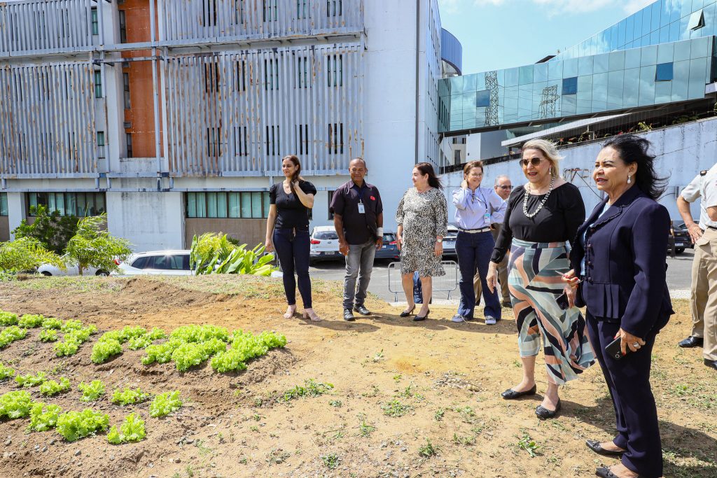 Núcleo Socioambiental inaugura horta solidária na sede do TJBA; alimentos serão doados às instituições filantrópicas    