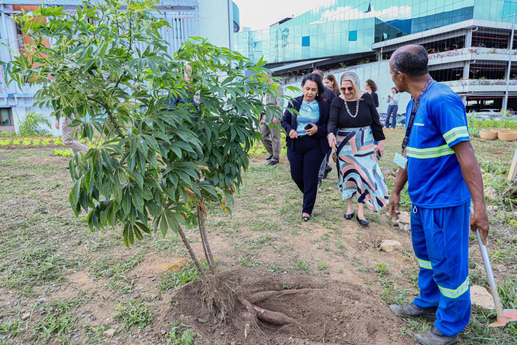 Núcleo Socioambiental inaugura horta solidária na sede do TJBA; alimentos serão doados às instituições filantrópicas    