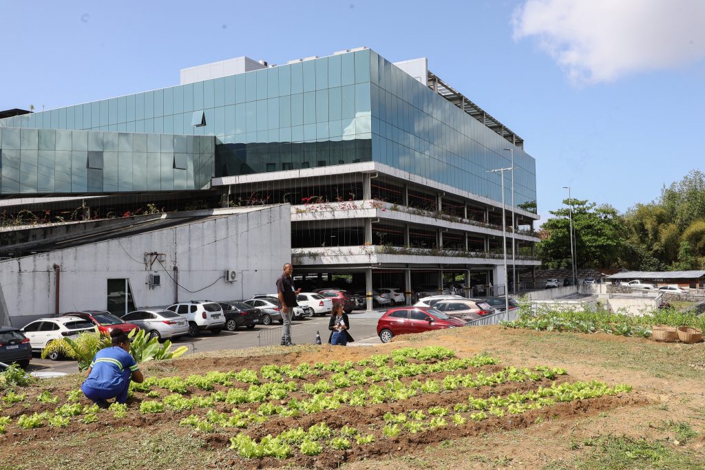 Núcleo Socioambiental inaugura horta solidária na sede do TJBA; alimentos serão doados às instituições filantrópicas    