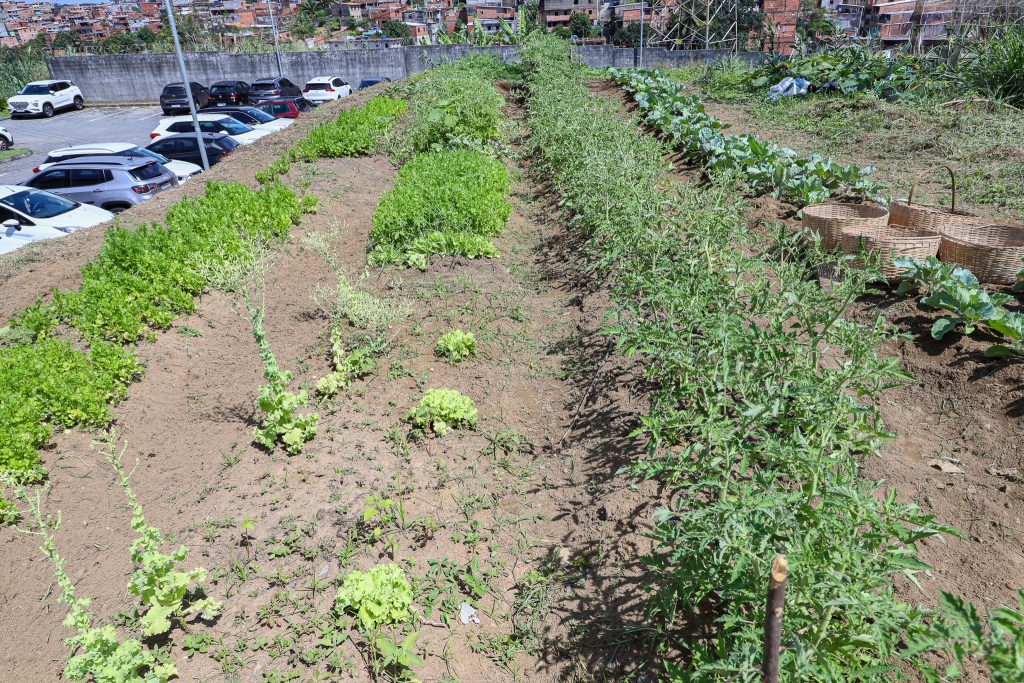 Núcleo Socioambiental inaugura horta solidária na sede do TJBA; alimentos serão doados às instituições filantrópicas    