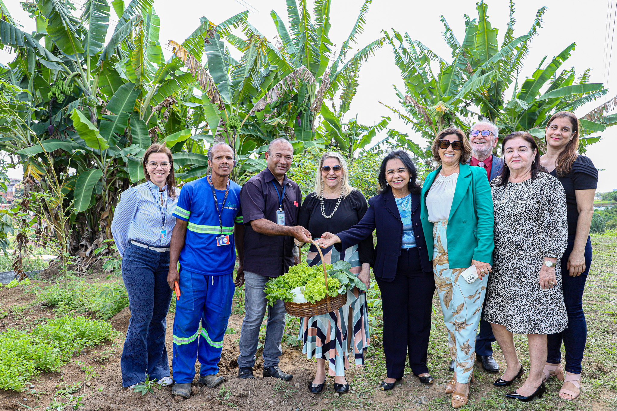 Núcleo Socioambiental inaugura horta solidária na sede do TJBA; alimentos serão doados às instituições filantrópicas    