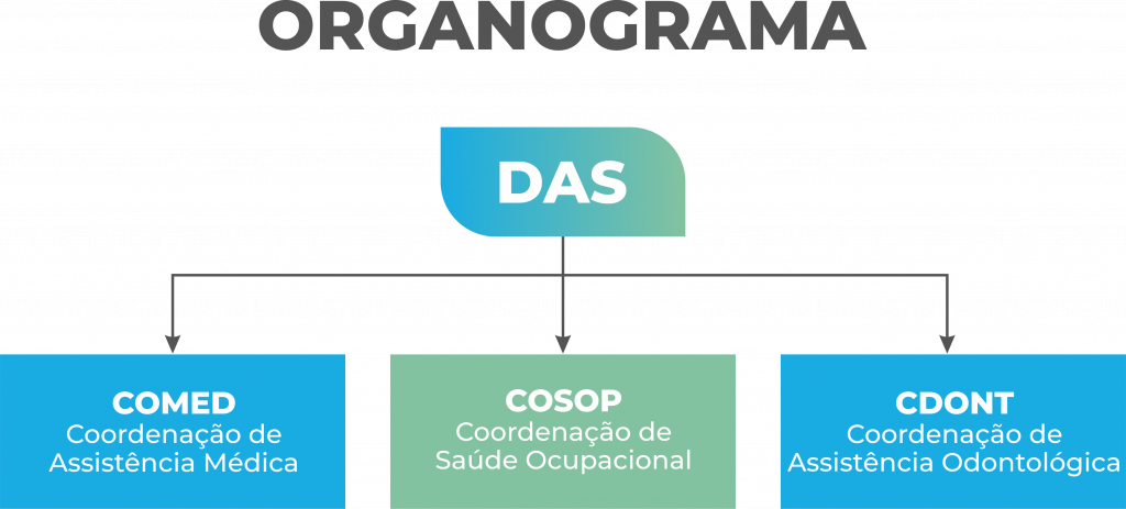 +Saúde - Diretoria de Assistência à Saúde (DAS)  