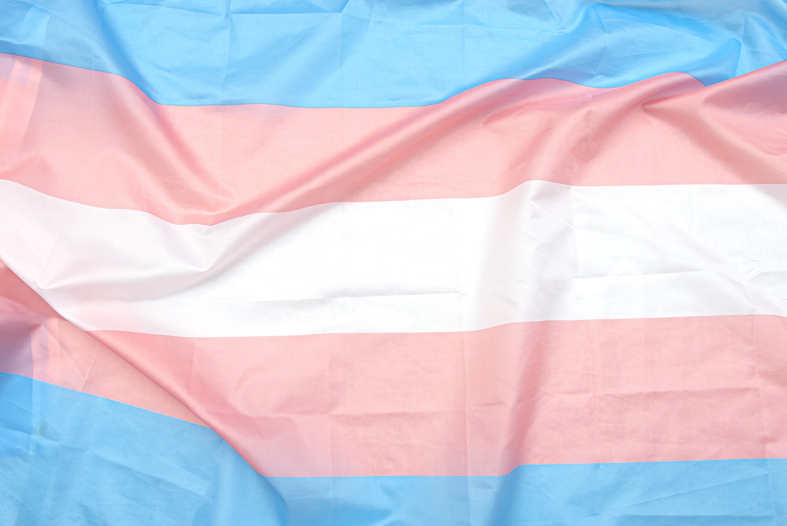29 de junho - Dia Nacional da Visibilidade Trans (Brasil)  