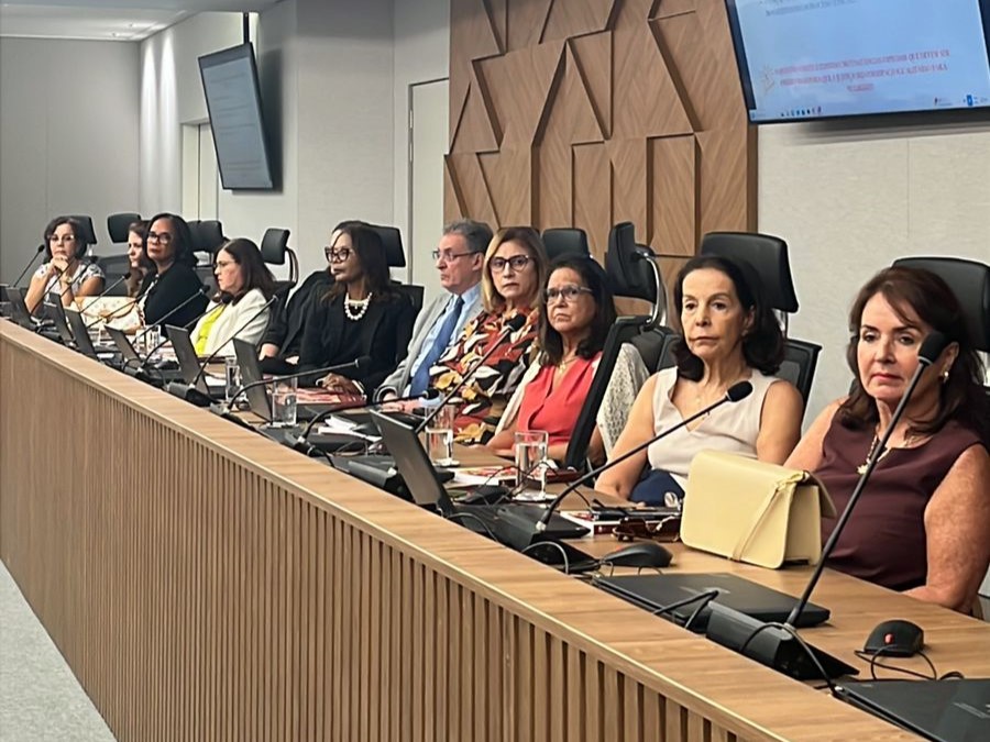 Presidente da Coordenadoria da Mulher do TJBA participa de palestra no MPBA e reforça a aplicação do Protocolo de Julgamento com Perspectiva de Gênero    