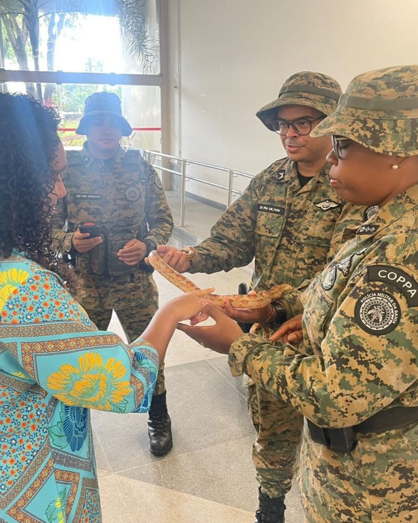 Feira de Sustentabilidade do TJBA reúne mais de 30 expositores, promove interação e aproximação com a natureza; visite e vivencie essa experiência   