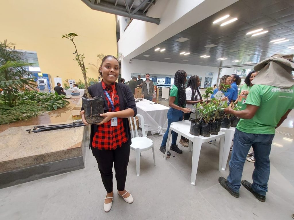Feira de Sustentabilidade do TJBA reúne mais de 30 expositores, promove interação e aproximação com a natureza; visite e vivencie essa experiência   