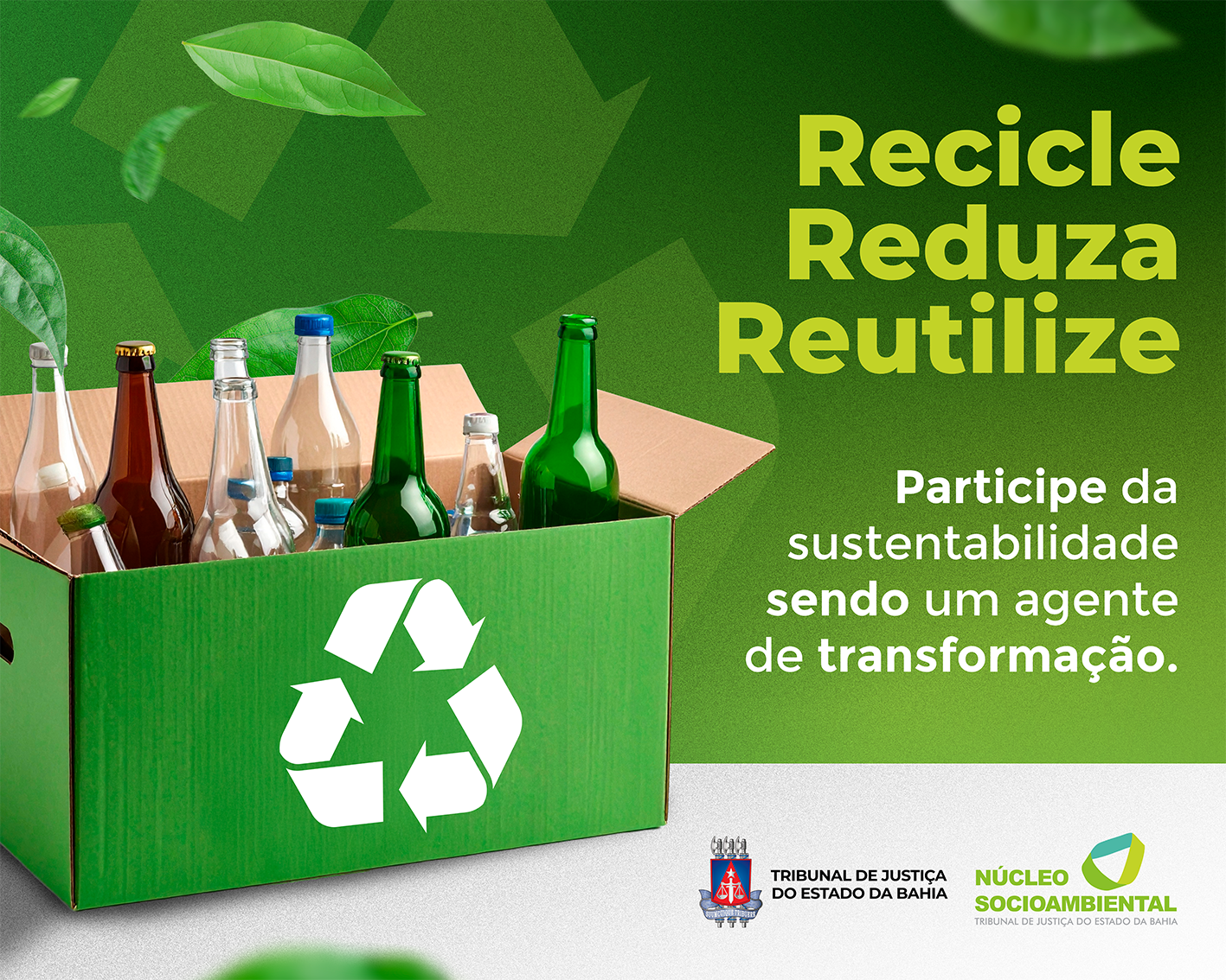 Núcleo Socioambiental - Campanhas  