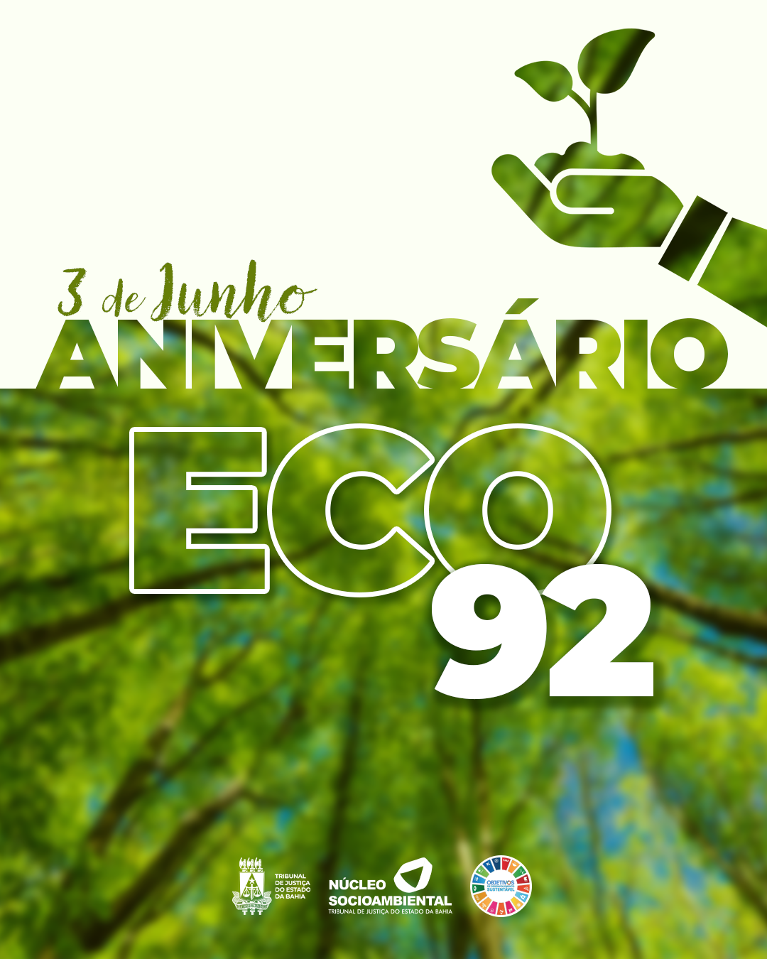 Núcleo Socioambiental - Campanhas  