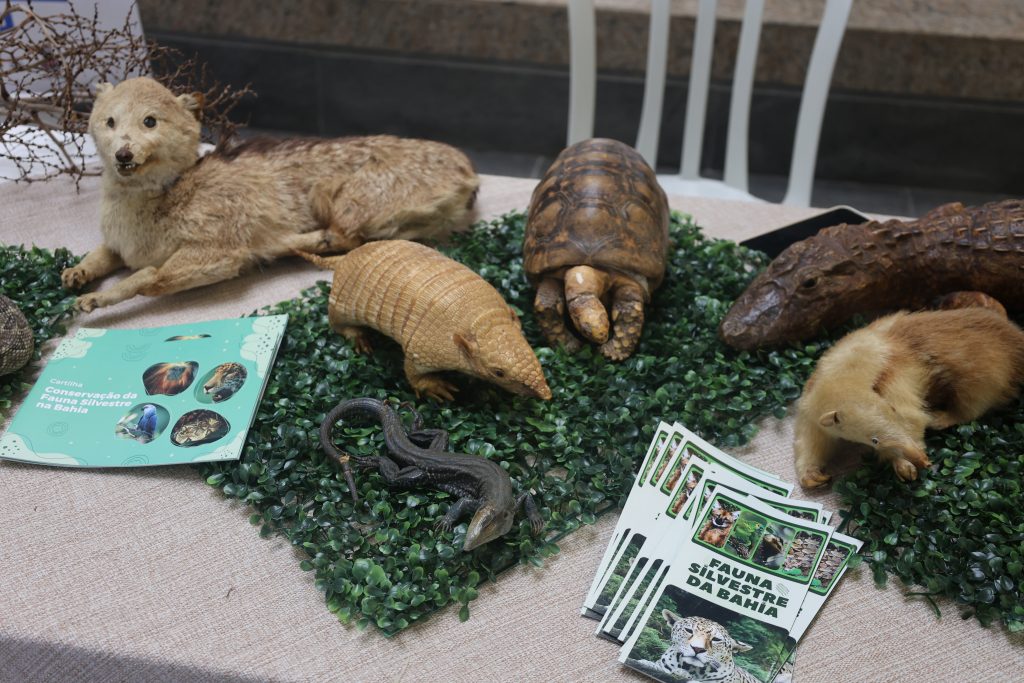 Consumo consciente em prática: ações de sustentabilidade movimentam o TJBA até a sexta-feira (28)   