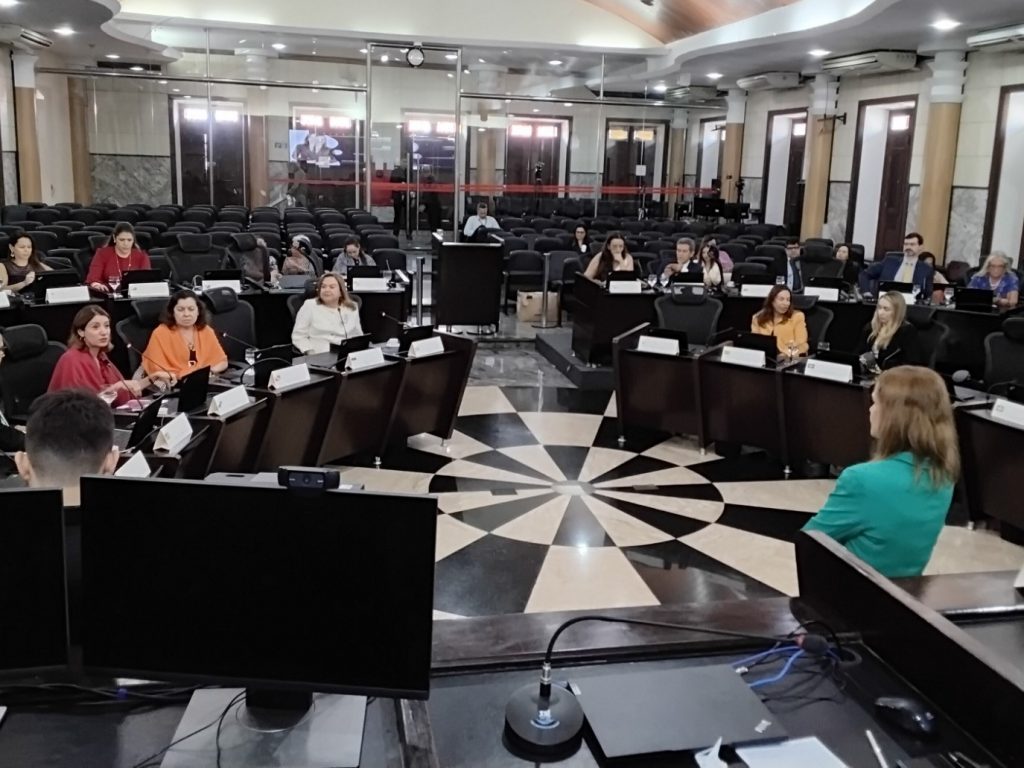 COCEVID encerra o ano com reunião no Maranhão; Desembargadora do TJBA conduziu o evento  