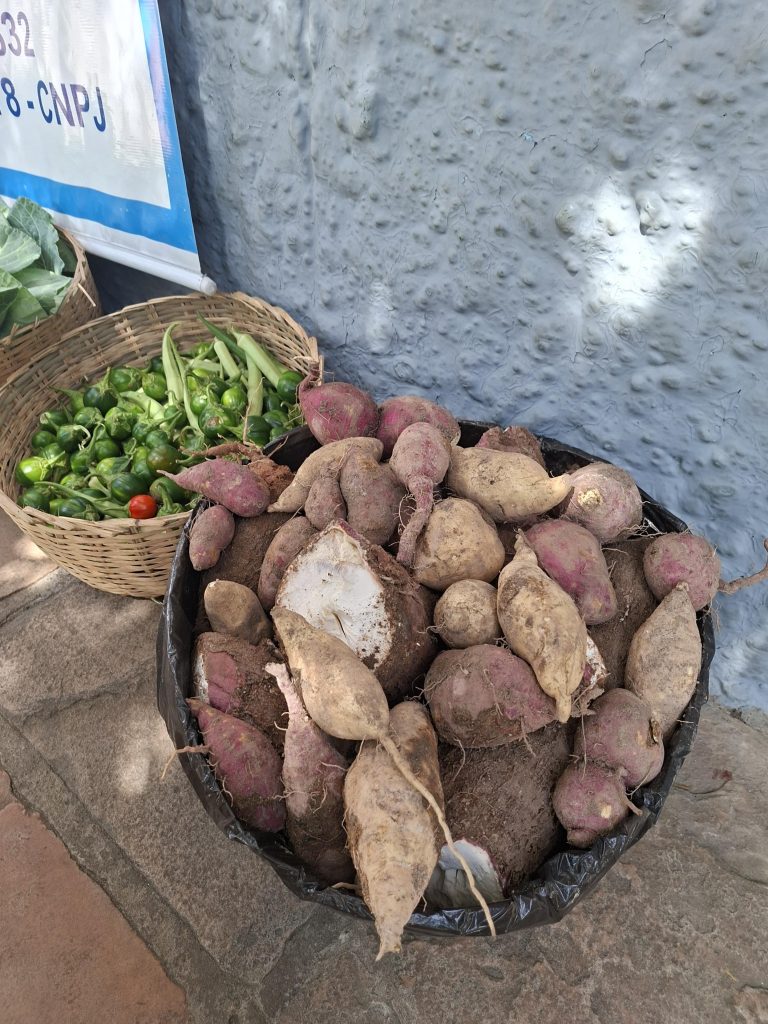 TJBA realiza última entrega do ano do Projeto Hortas ao Lar Vida
