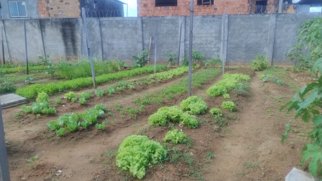 Justiça Carbono Zero: Horta Solidária do TJBA consolida ação de compensação ambiental com remoção de 2,08 toneladas de CO₂ equivalente    