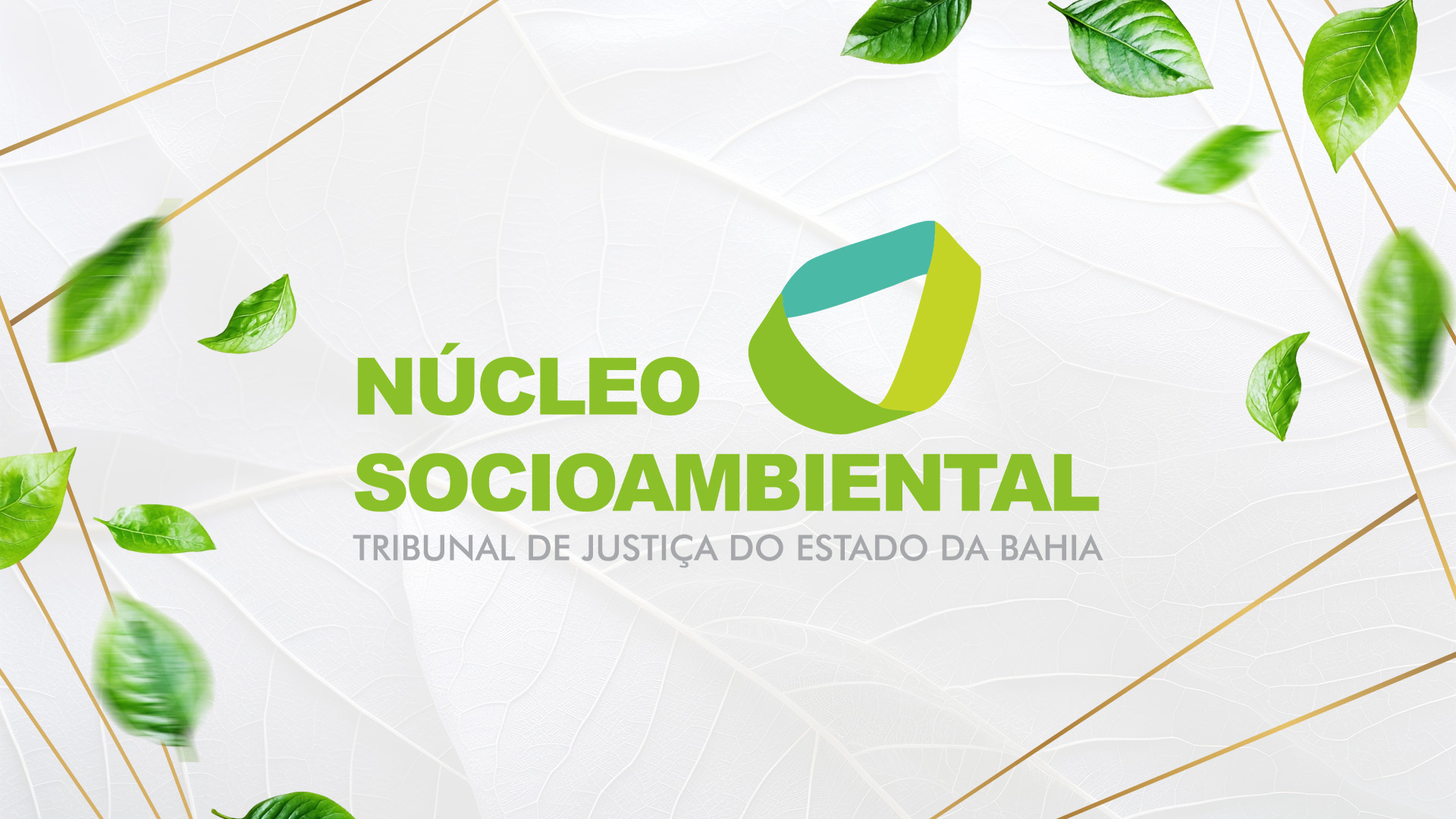 Projetos desenvolvidos pelo Núcleo Socioambiental do TJBA são reconhecidos no Portal CNJ de Boas Práticas do Poder Judiciário   