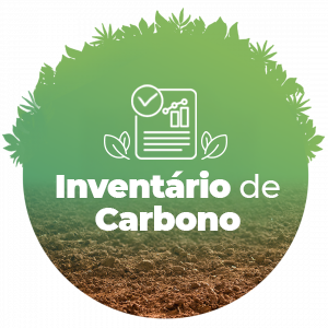 Núcleo Socioambiental - Relatórios