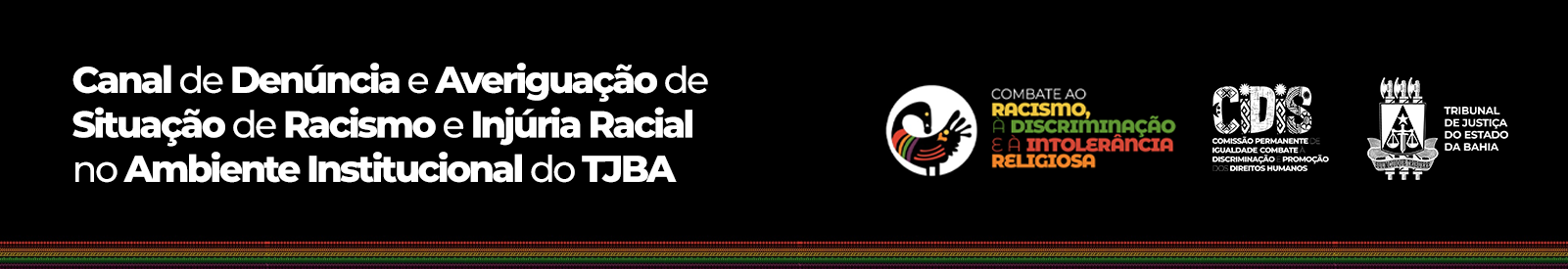 Comissão Permanente de Igualdade, Combate à Discriminação e Promoção dos Direitos Humanos – CIDIS  