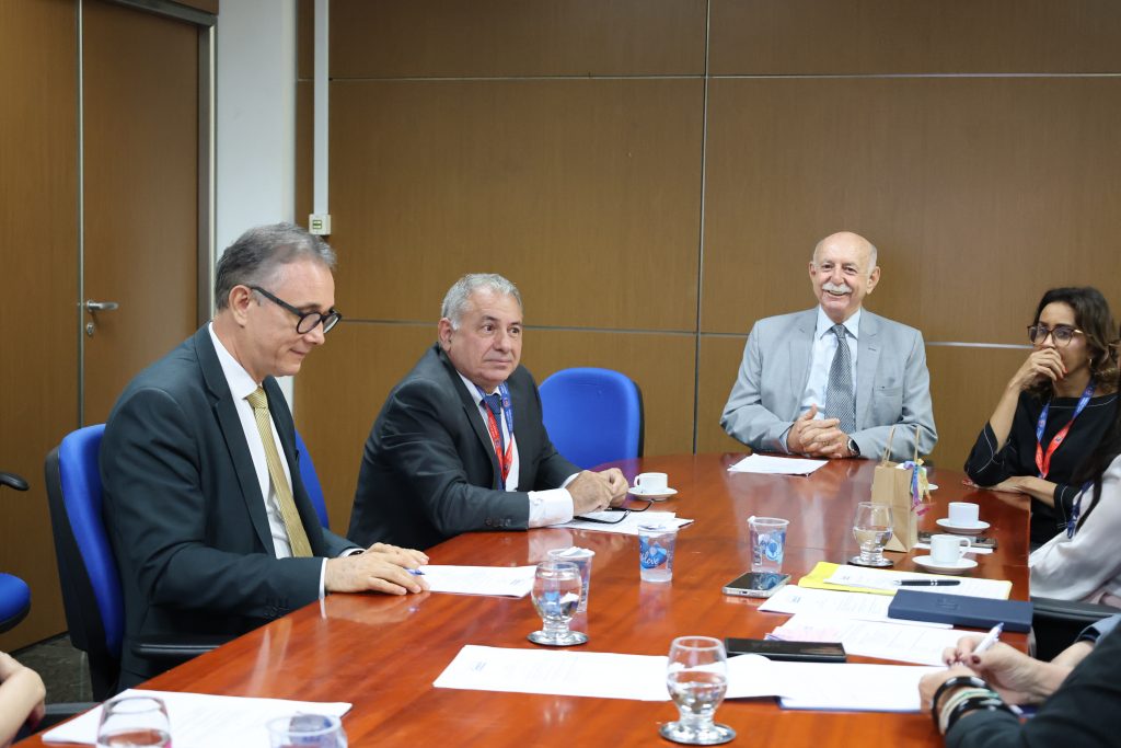 15/06/2026 - Reunião Comissão Estadual Judiciária de Adoção Internacional (CEJAI)