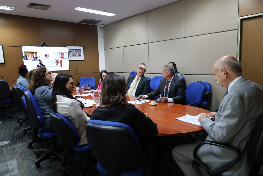 15/06/2026 - Reunião Comissão Estadual Judiciária de Adoção Internacional (CEJAI)