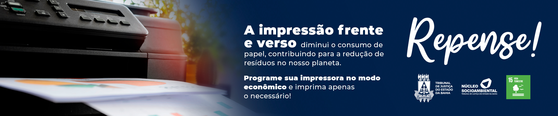 Impressão – Núcleo Socioambiental