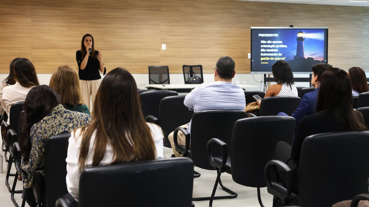 15 a 23/09/2026 - Ação educativa "Precedentes Qualificados, Governança Processual e Integridade dos Dados Judiciais"  