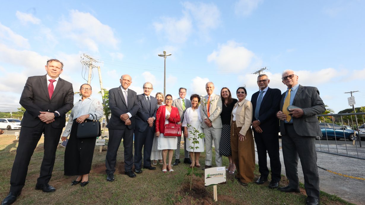 TJBA lança projeto para fortalecer a sustentabilidade e ampliar ações de preservação ambiental   