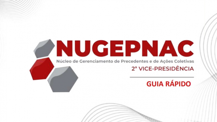 Núcleo de Gerenciamento de Precedentes e de Ações Coletivas divulga a 2ª Edição do Guia Rápido