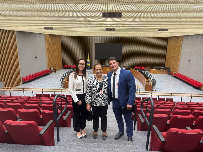 2ª VICE-PRESIDÊNCIA PARTICIPA DA QUINTA EDIÇÃO DO “PROJETO PRECEDENTES NA PRÁTICA” NO STF 