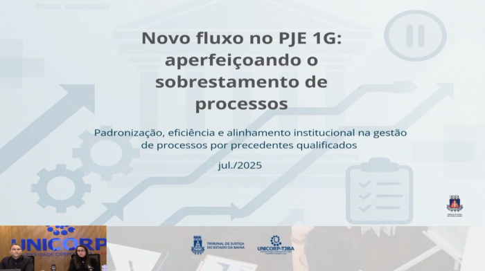 UNIDADE DA 2ª VICE-PRESIDÊNCIA E CSJUD CONDUZEM APRESENTAÇÃO DO NOVO FLUXO DE SUSPENSÃO DE PROCESSOS NO PJE DO 1º GRAU