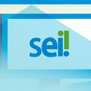 TREINAMENTO NO SISTEMA ELETRÔNICO – (SEI)